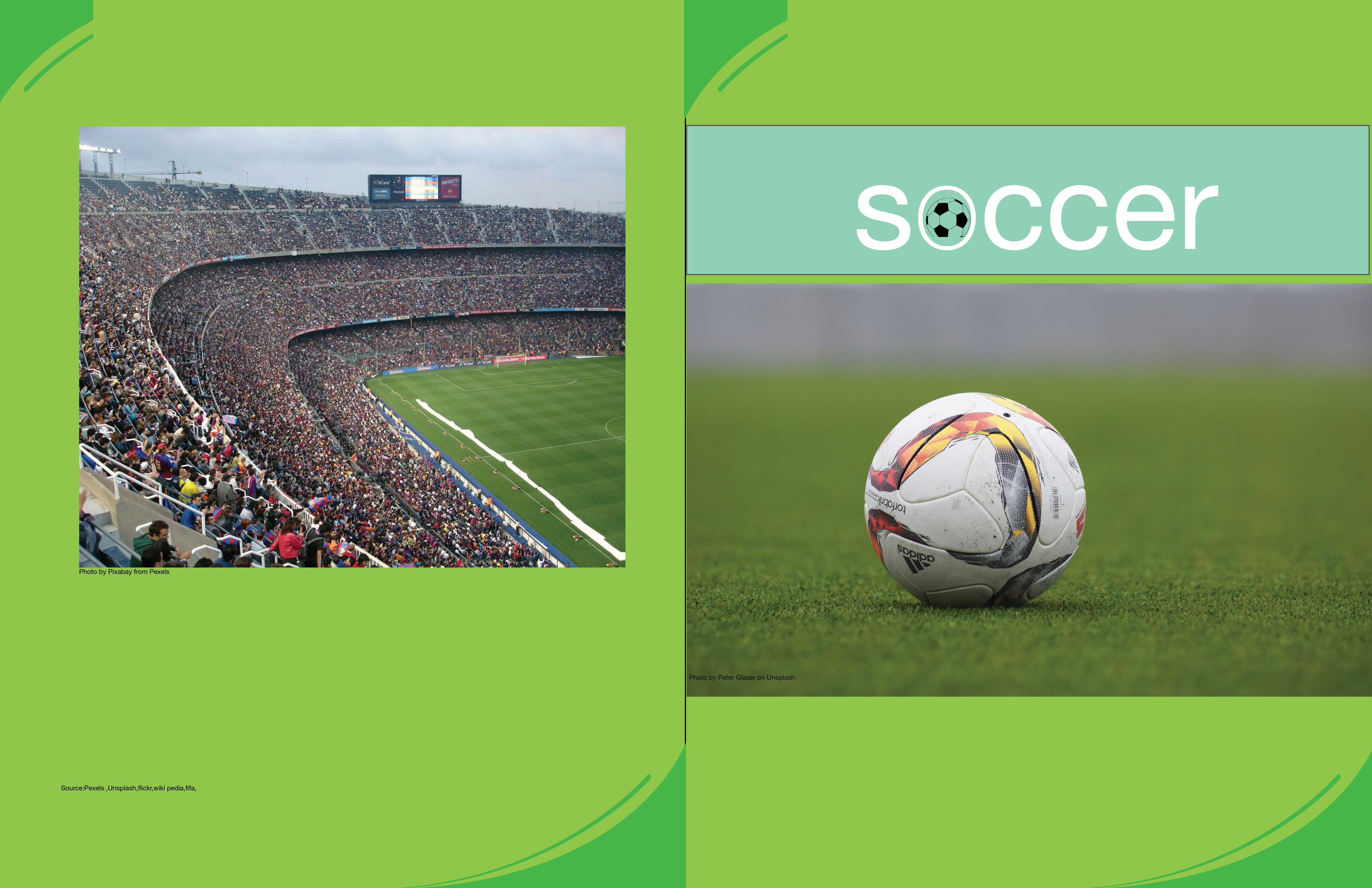 global project draft