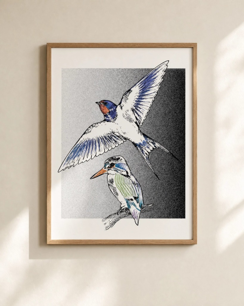 birds illustrations