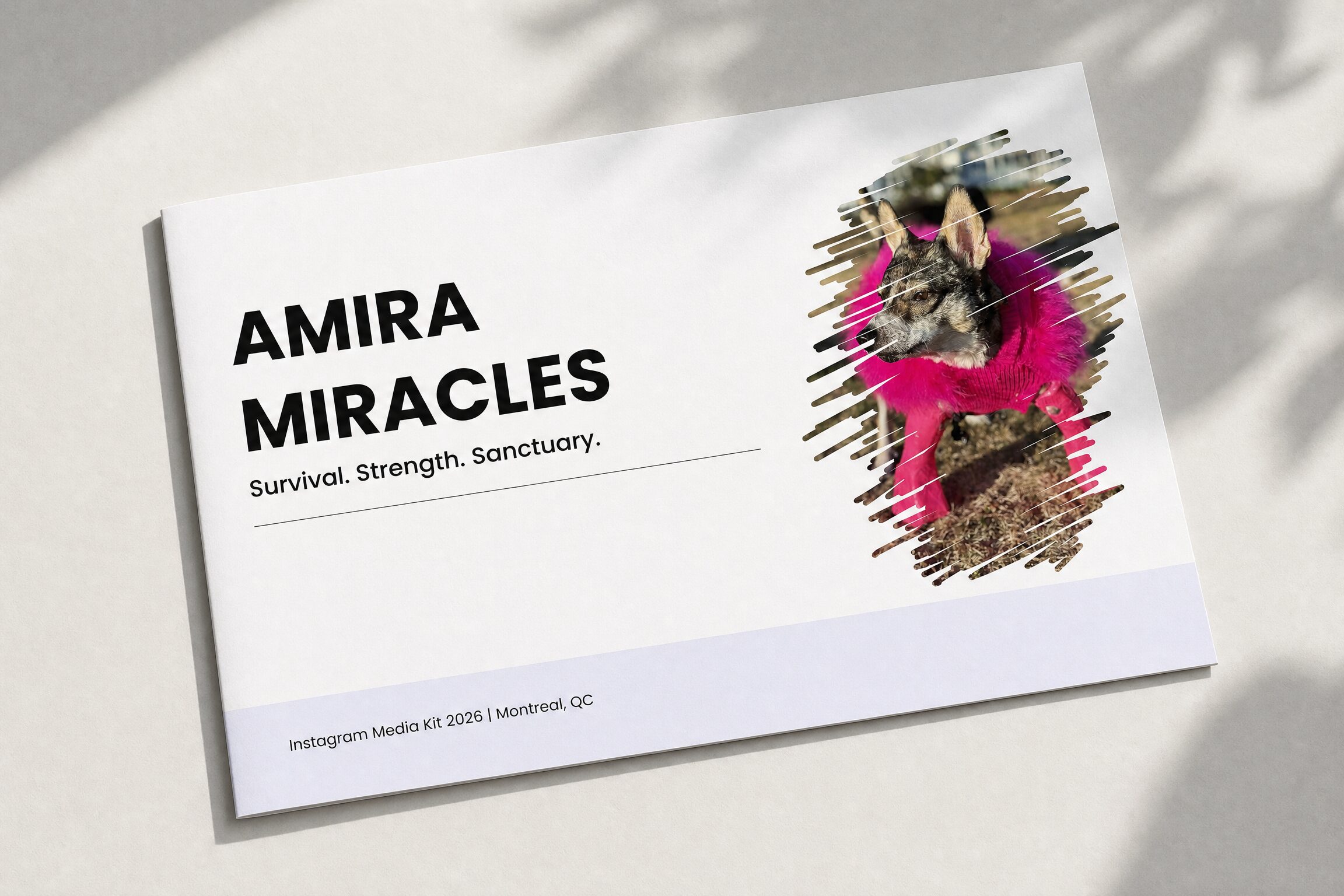 amira miracle media kit